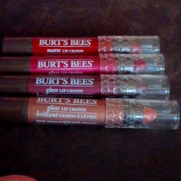 Burt's Bees Other - Burt's Bees Lip Crayons Lot of 4